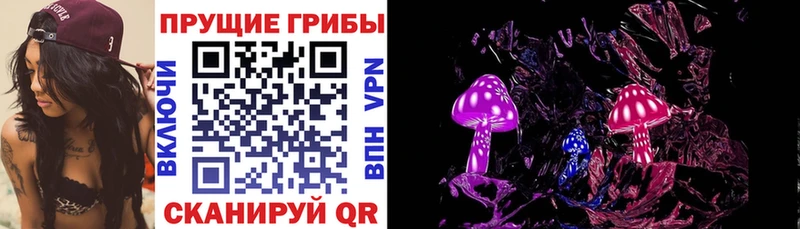 Псилоцибиновые грибы Cubensis  где продают наркотики  Пионерский 